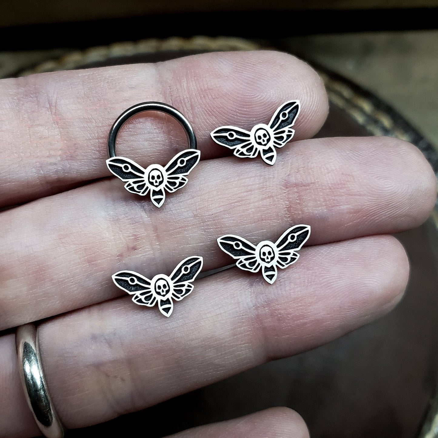 16G Death Moth Captive Bead Ring (NEW 2021 Redesign - No Antennae) - Metal Lotus